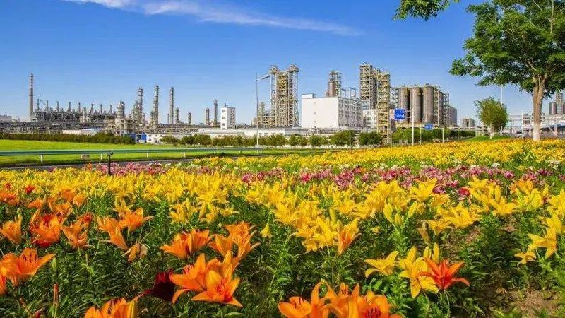 精细化工物料储存托盘：规格要求与选购要点